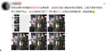 景甜回应爆料视频大全下载,真相大白，下载大全揭秘